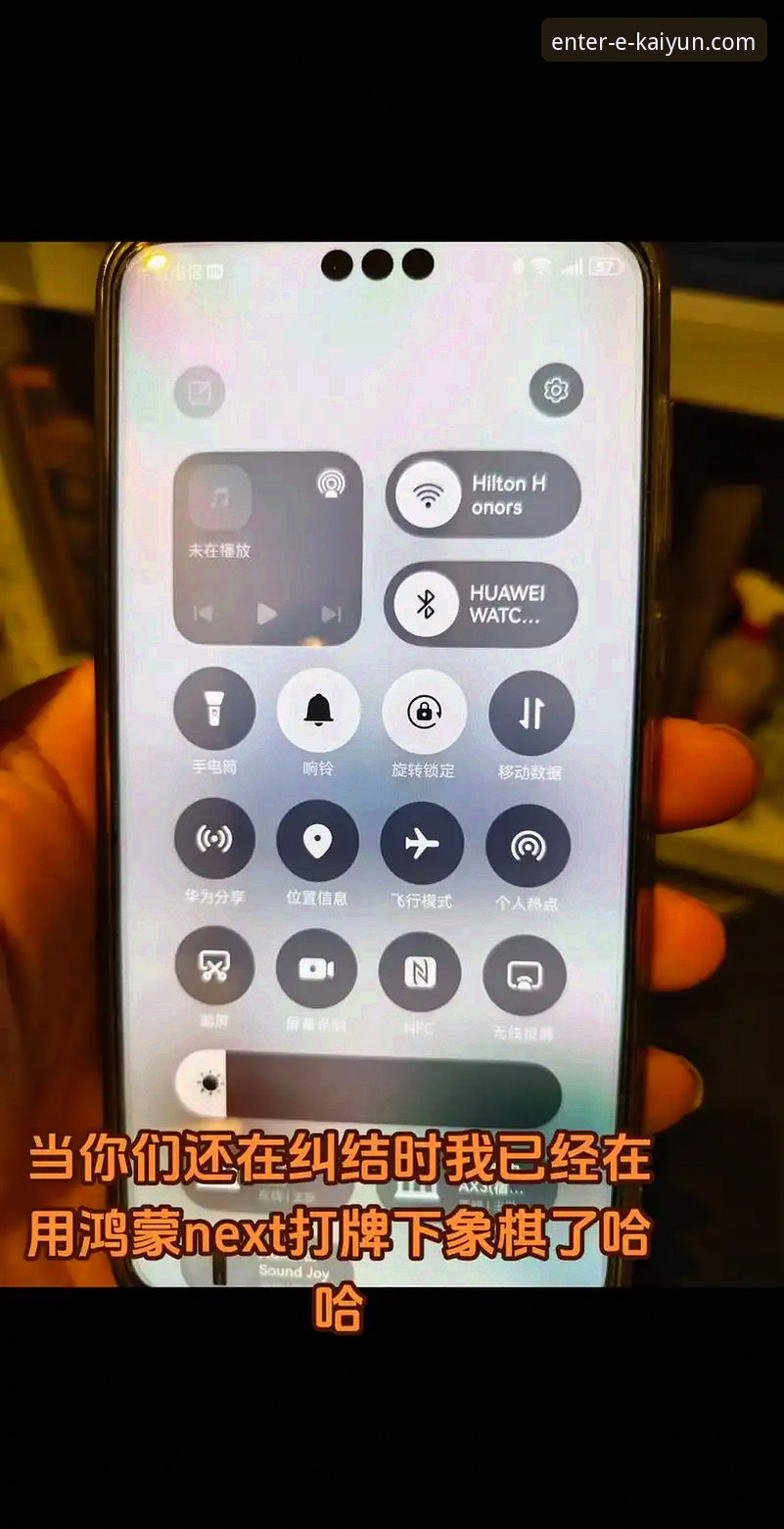 揭秘开云体育平台：v2.4.3版本背后的流畅体验与创新下载方案